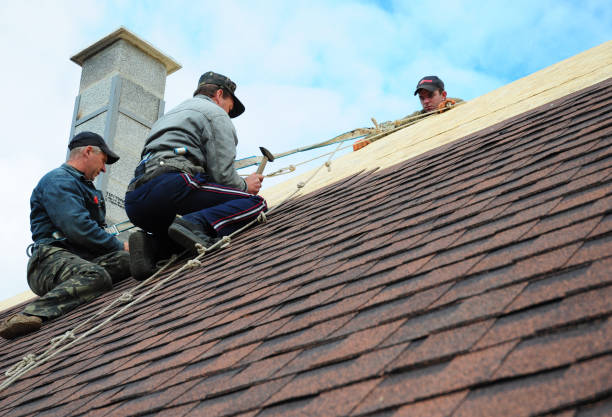 Best Residential Roofing Contractor  in West Union, OH