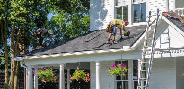 Best Roof Gutter Cleaning  in West Union, OH